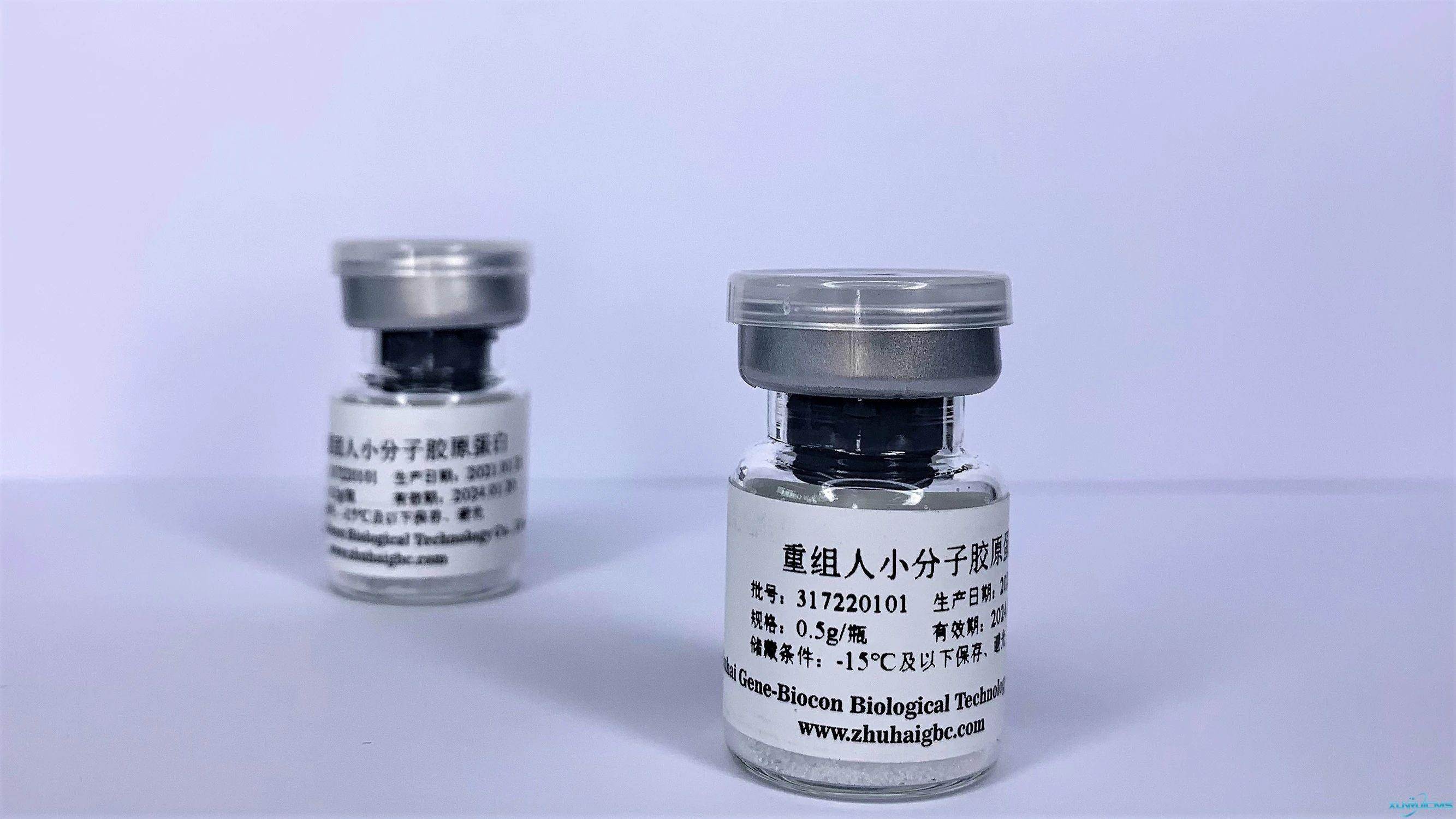 微信圖片_20240927163140 微信圖片_20240927163140