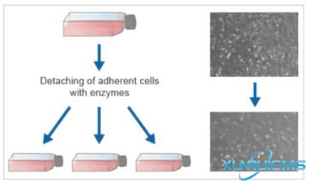 微信圖片_20241016152142 微信圖片_20241016152142