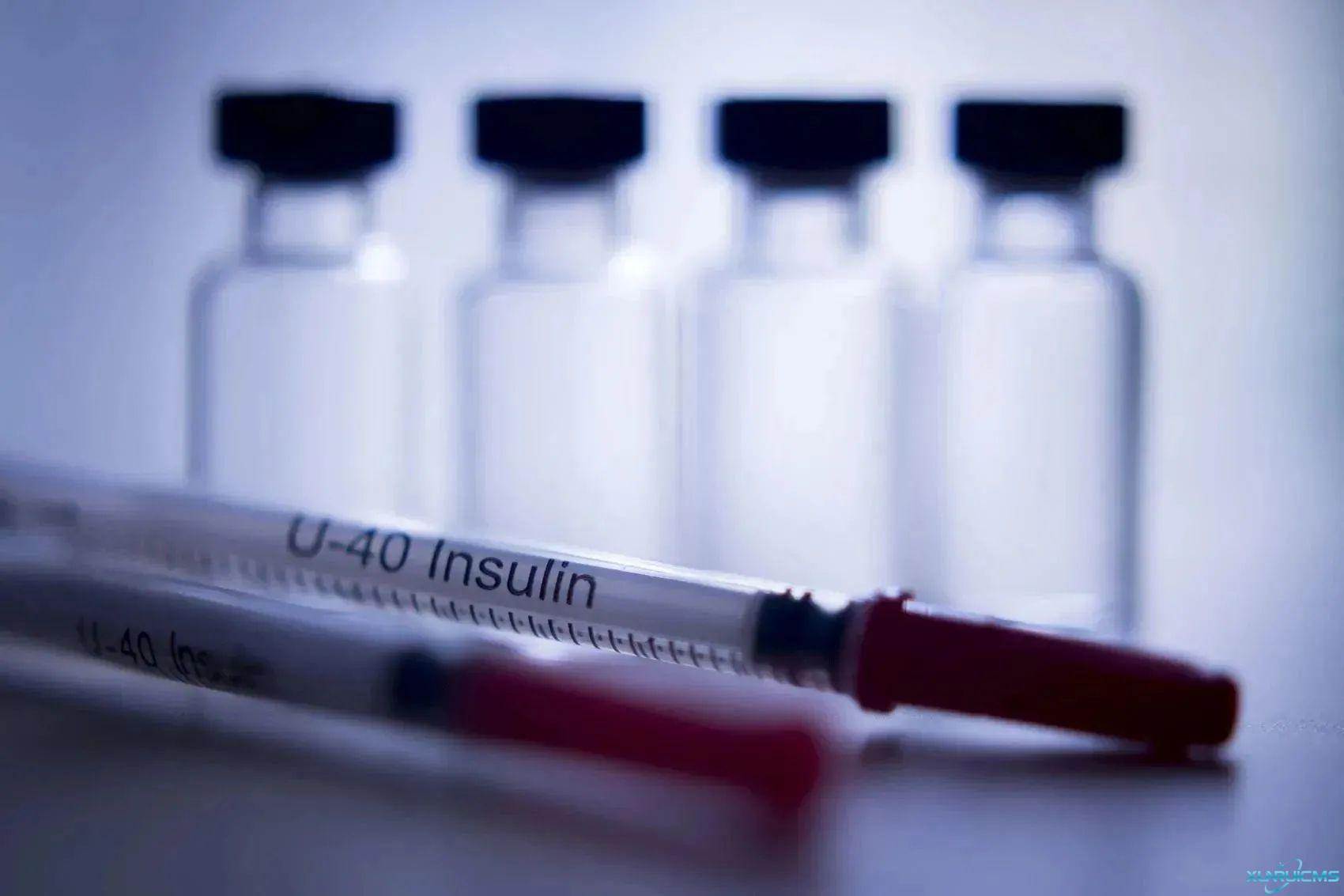 微信圖片_20241017142259 微信圖片_20241017142259