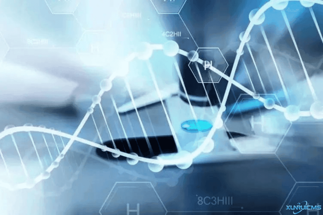 微信圖片_20241017165636 微信圖片_20241017165636