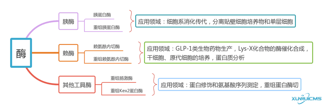 微信圖片_20241017165639 微信圖片_20241017165639