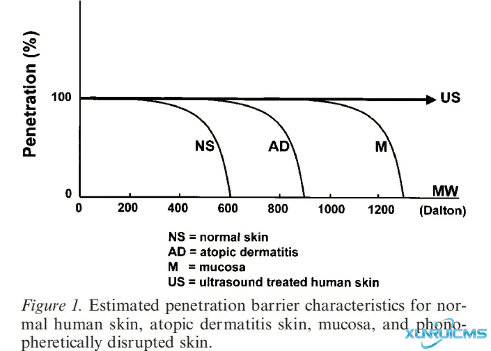 微信圖片_20241021170238 微信圖片_20241021170238