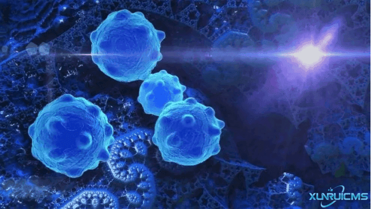 微信圖片_20241017165709 微信圖片_20241017165709