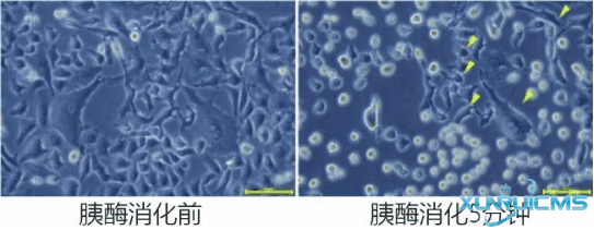 微信圖片_20241022084933 微信圖片_20241022084933