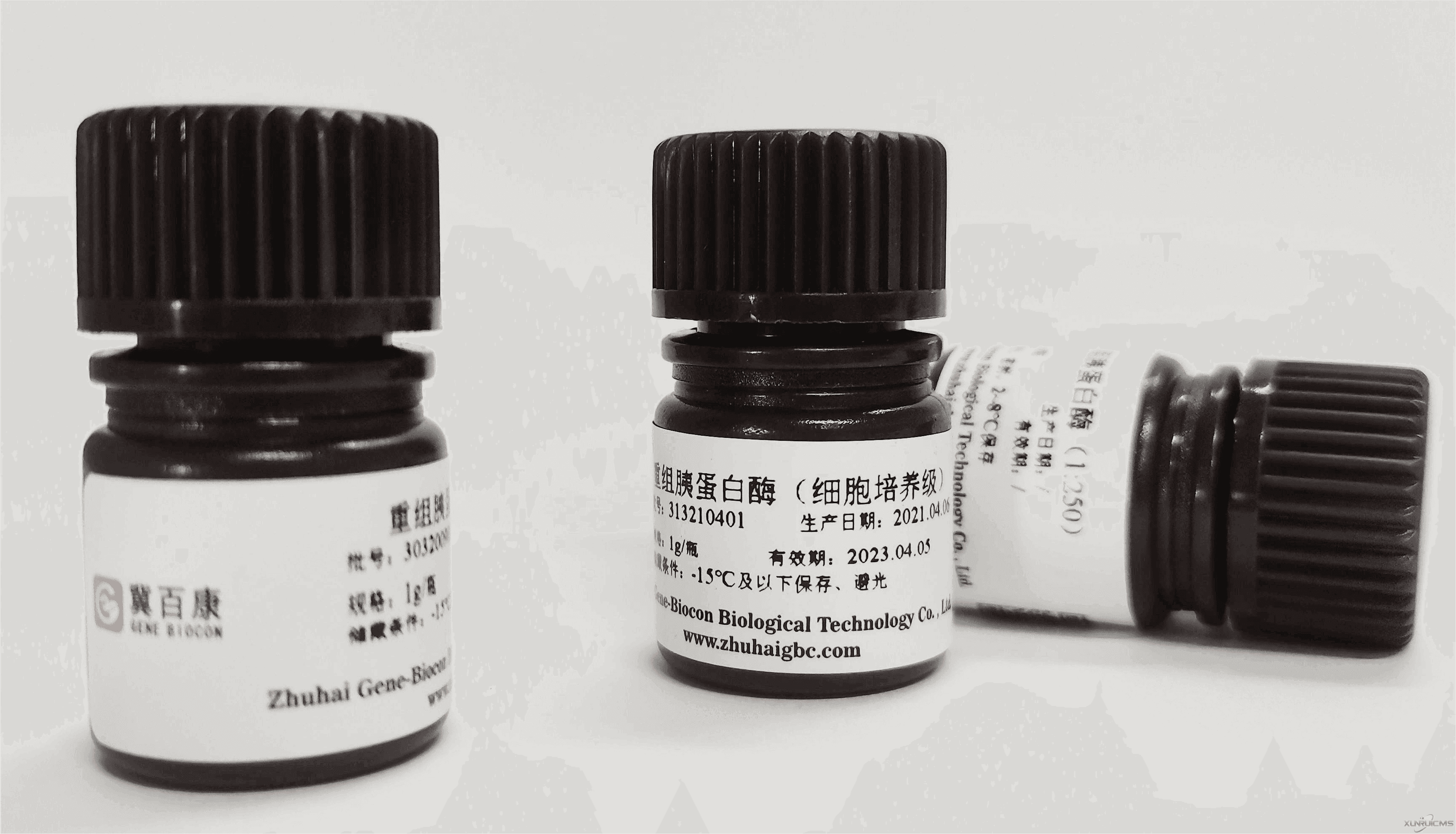 微信圖片_20241022084937(1) 微信圖片_20241022084937(1)