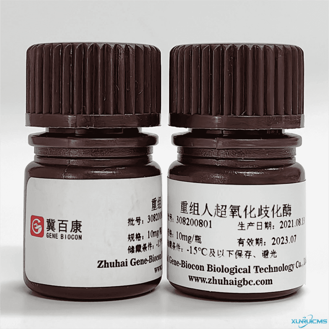 微信圖片_20241022115227 微信圖片_20241022115227