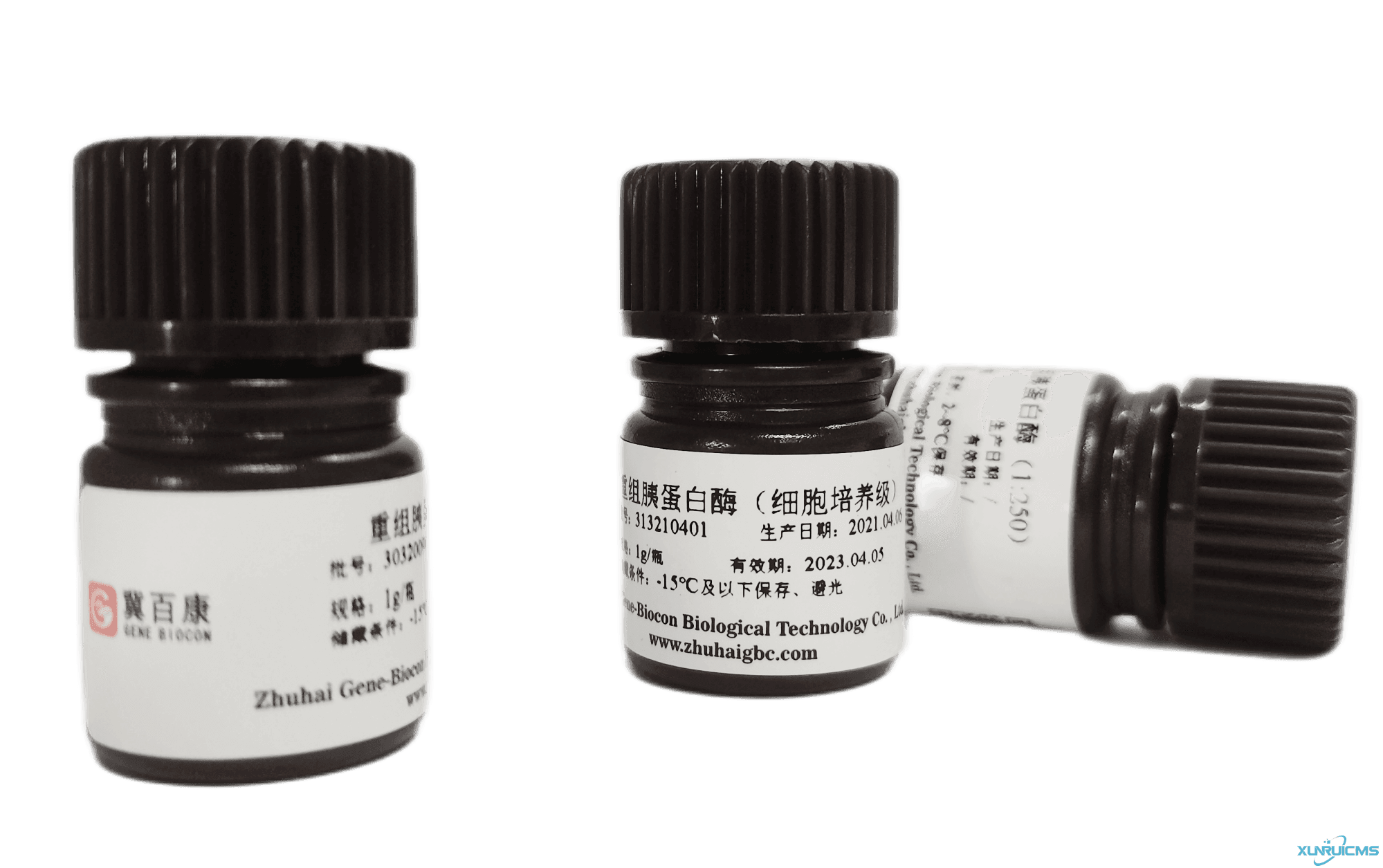 微信圖片_20241022161045