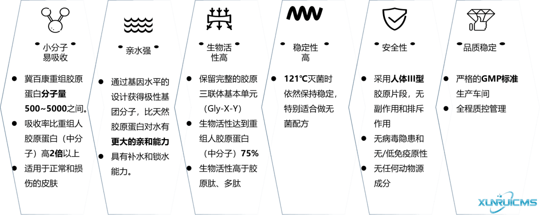 微信圖片_20241023140523 微信圖片_20241023140523