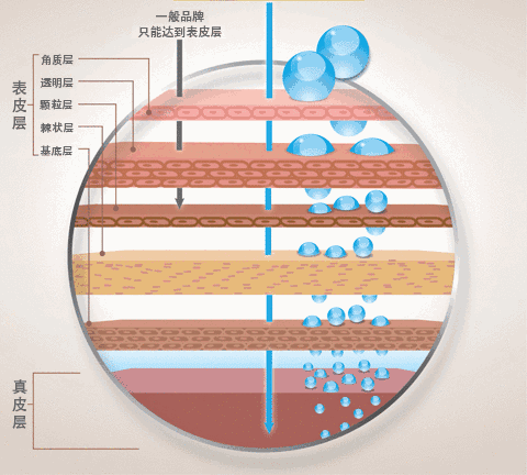 微信圖片_20241023141239 微信圖片_20241023141239