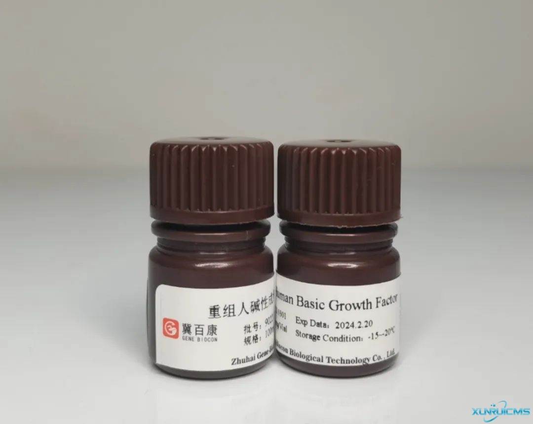 微信圖片_20241023154926 微信圖片_20241023154926