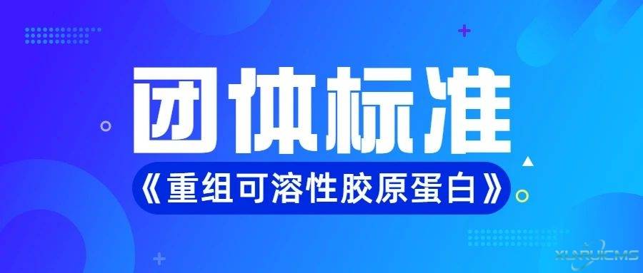 微信圖片_20241023162412 微信圖片_20241023162412