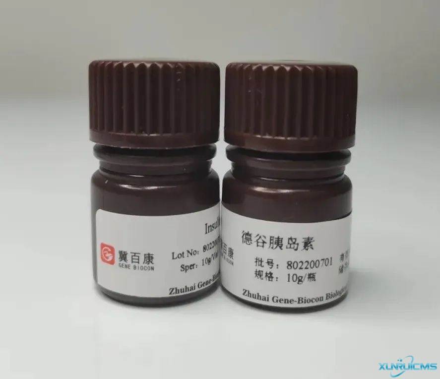 微信圖片_20241024090513 微信圖片_20241024090513