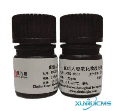 微信圖片_20241024103317 微信圖片_20241024103317