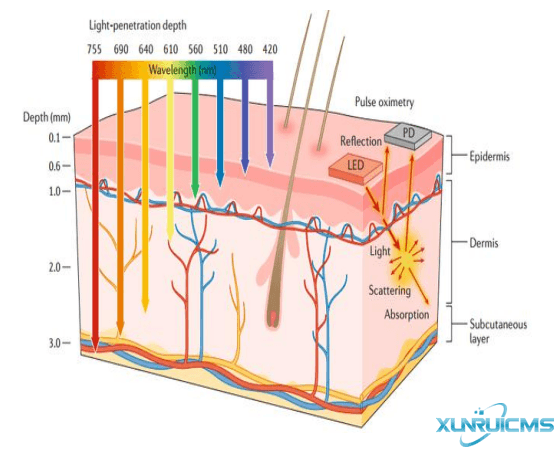 微信圖片_20241024103320 微信圖片_20241024103320