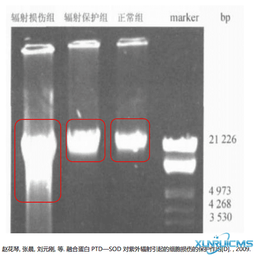 微信圖片_20241024103337 微信圖片_20241024103337