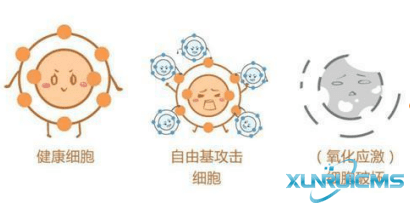 微信圖片_20241024103343 微信圖片_20241024103343