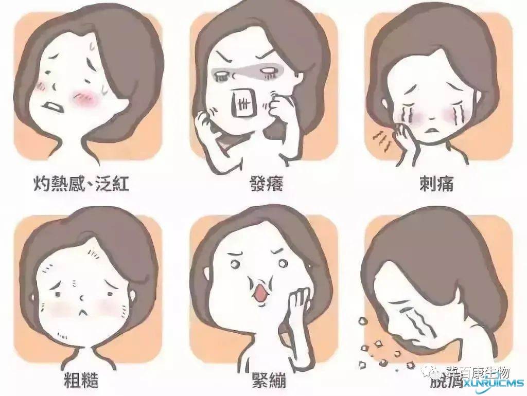 微信圖片_20241024111903 微信圖片_20241024111903