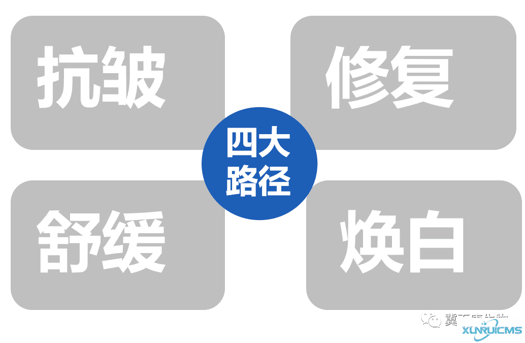 微信圖片_20241024111910 微信圖片_20241024111910