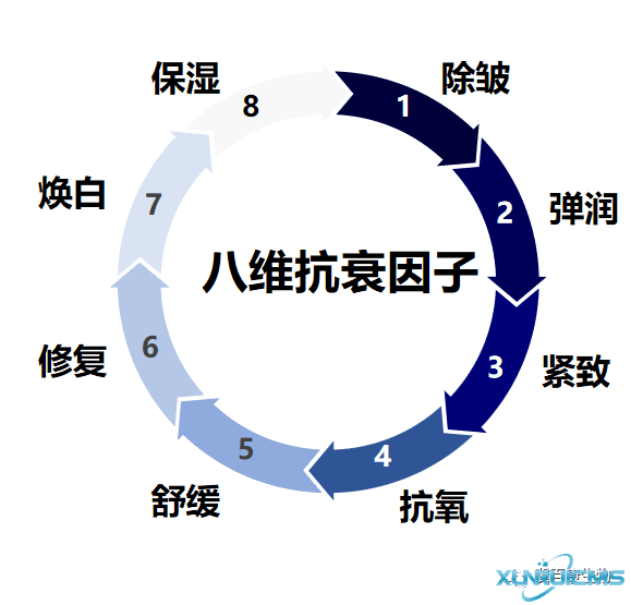 微信圖片_20241024111912 微信圖片_20241024111912