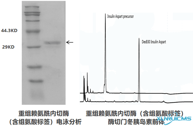 微信圖片_20241024143521 微信圖片_20241024143521