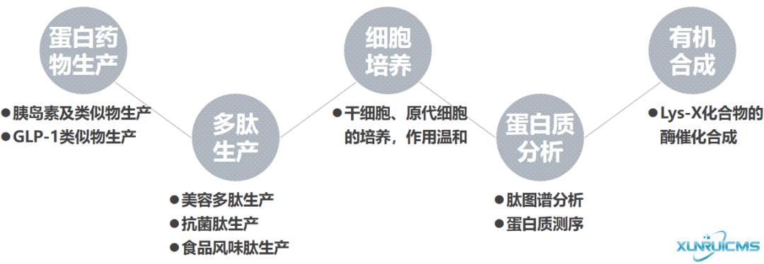 微信圖片_20241024143535 微信圖片_20241024143535