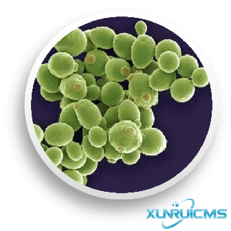 微信圖片_20241024145223 微信圖片_20241024145223