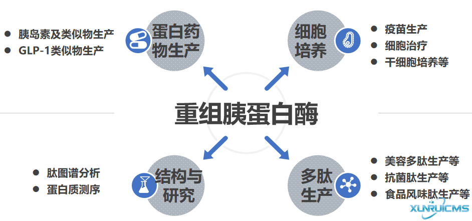 微信圖片_20241024145248 微信圖片_20241024145248