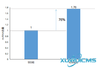 微信圖片_20241024161825 微信圖片_20241024161825