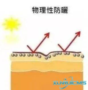 微信圖片_20241024165129 微信圖片_20241024165129