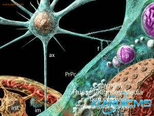 微信圖片_20241024170546 微信圖片_20241024170546