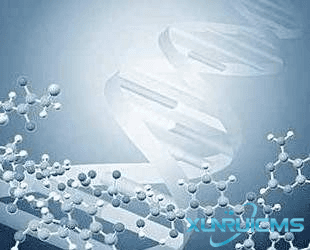 微信圖片_20241024170549 微信圖片_20241024170549