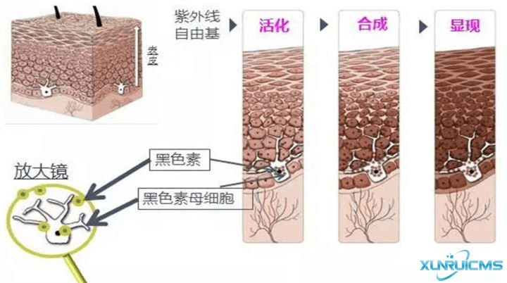 微信圖片_20241024172026 微信圖片_20241024172026