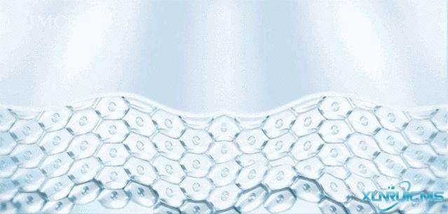 微信圖片_20241029094517 微信圖片_20241029094517