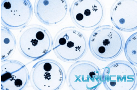 微信圖片_20241029135845 微信圖片_20241029135845