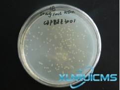 微信圖片_20241029155927 微信圖片_20241029155927