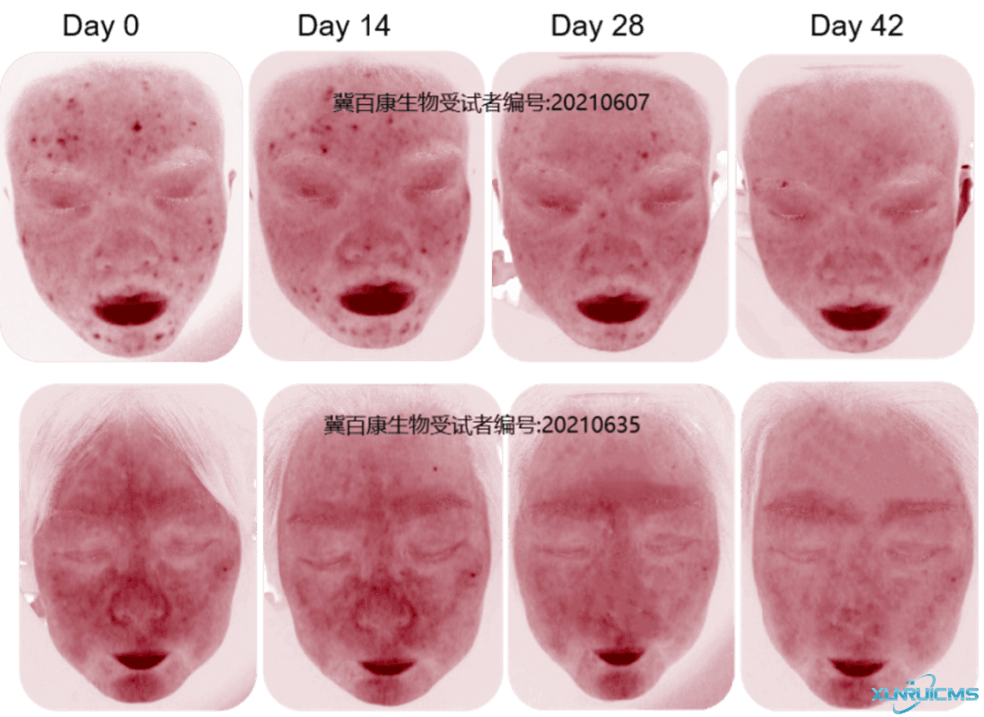 微信圖片_20241101134502 微信圖片_20241101134502